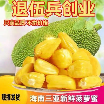 海南三亚菠萝蜜新鲜干苞大树木菠萝应季热带水果黄肉整个香甜批发