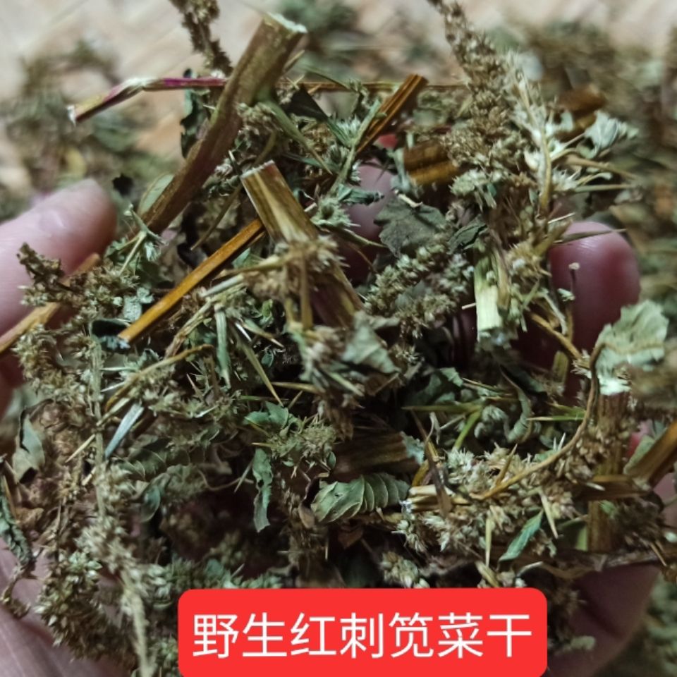 野生刺苋干带刺刺苋红刺苋红菜头假苋菜猪母菜勒苋含枝叶籽筋苋菜【1