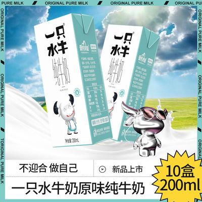 皇氏乳业 一只水牛高钙奶纯牛奶调制水牛奶早晚餐营养奶整箱