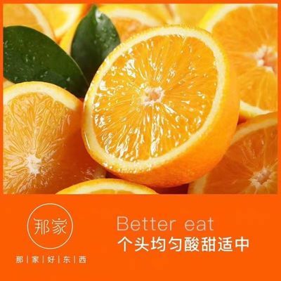福建脐橙纽荷尔橙子当季新鲜水果包邮10斤大果现摘健康孕妇不打蜡