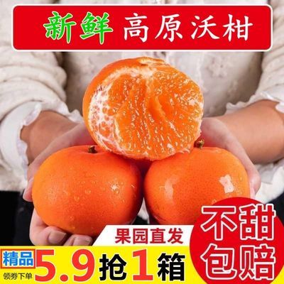 【精品】现摘高原沃柑10斤新鲜当季水果5/2斤非广西皇帝柑丑橘子
