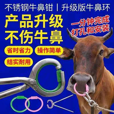 牛鼻环牛鼻圈穿牛鼻子工具家用不锈钢拴牛新款自动扣老式牵引扣子