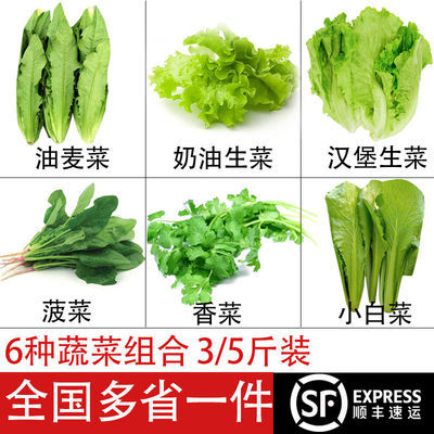 131132/新鲜蔬菜组合沙拉火锅油麦菠菜生菜小白菜香菜涮菜蔬菜批发
