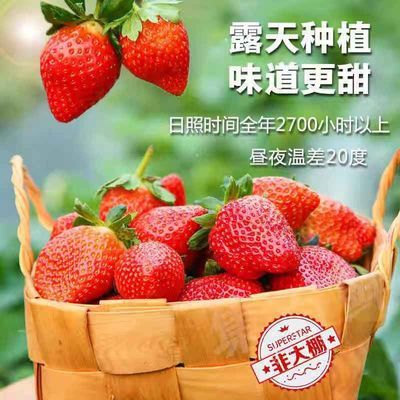 四川大凉山大草莓牛奶露天巧克力新鲜现发整箱水果批发价孕妇儿童