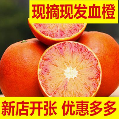 【过年不打烊】血橙新鲜水果塔罗科血橙当季柑橘柑桔橙子果园现摘