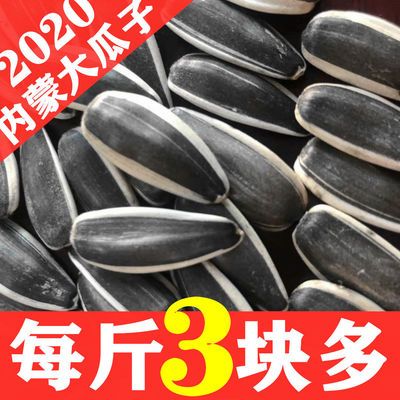 特大瓜子批发干炒熟瓜子2/10斤葵花籽生瓜子原味瓜子向日葵瓜子类