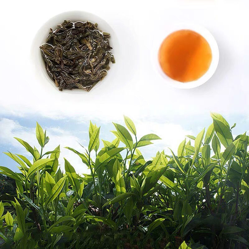 凤凰单枞茶叶潮州大庵高山特级蜜兰香茶叶高档罐装半斤装