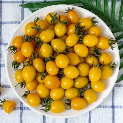 【包邮】黄色圣女果新鲜水果小番茄现摘现发非千禧小西红柿批发