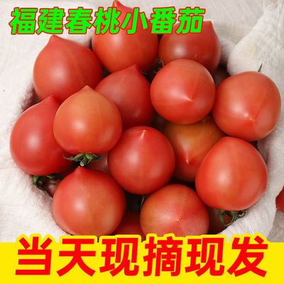 109898/【包邮】西红柿5斤春桃圣女果铁桃小番茄新鲜生吃1斤整箱批发