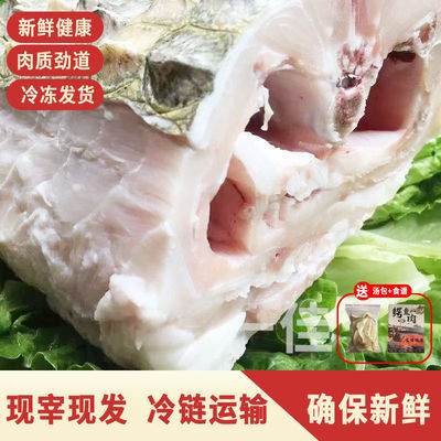 新鲜鳄鱼肉腩 半皮肉 现杀鳄鱼 人工养殖鳄鱼 新鲜肉类 顺丰包邮