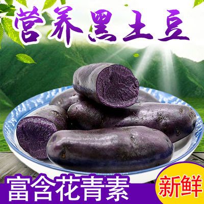 57706/包邮黑土豆新鲜蔬菜黑金刚农家马铃薯非紫薯黑洋芋黑美人