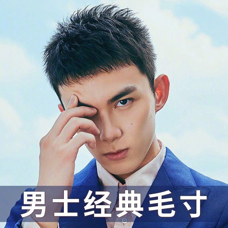 【男士经典毛寸】全真发整顶全头套假发男生中老年遮白发韩版帅气