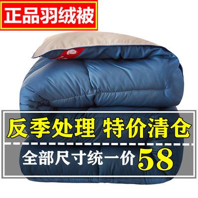 36921/正品羽绒被95白鹅绒被子春秋被冬被加厚保暖双人鸭绒被芯特价清仓