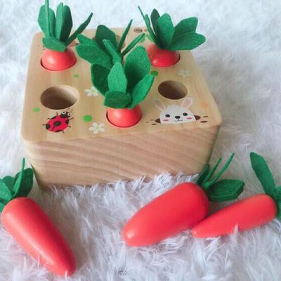 高丽宝贝Goryeobaby拔萝卜木制玩具儿童记忆训练益智玩具蒙氏教具