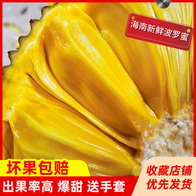 39680/现摘发货海南三亚菠萝蜜新鲜水果当应季一整个黄肉波罗蜜批发非红