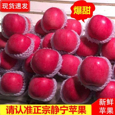 75939/正宗甘肃静宁红富士苹果精品脆甜多汁新鲜果整箱产地直发坏果包赔