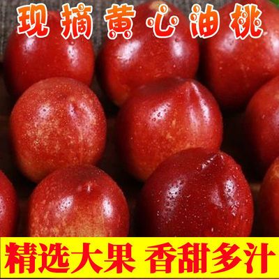 39700/黄心油桃新鲜大肉桃子孕妇水果当季1/3/5斤包邮脆甜水密桃非毛桃