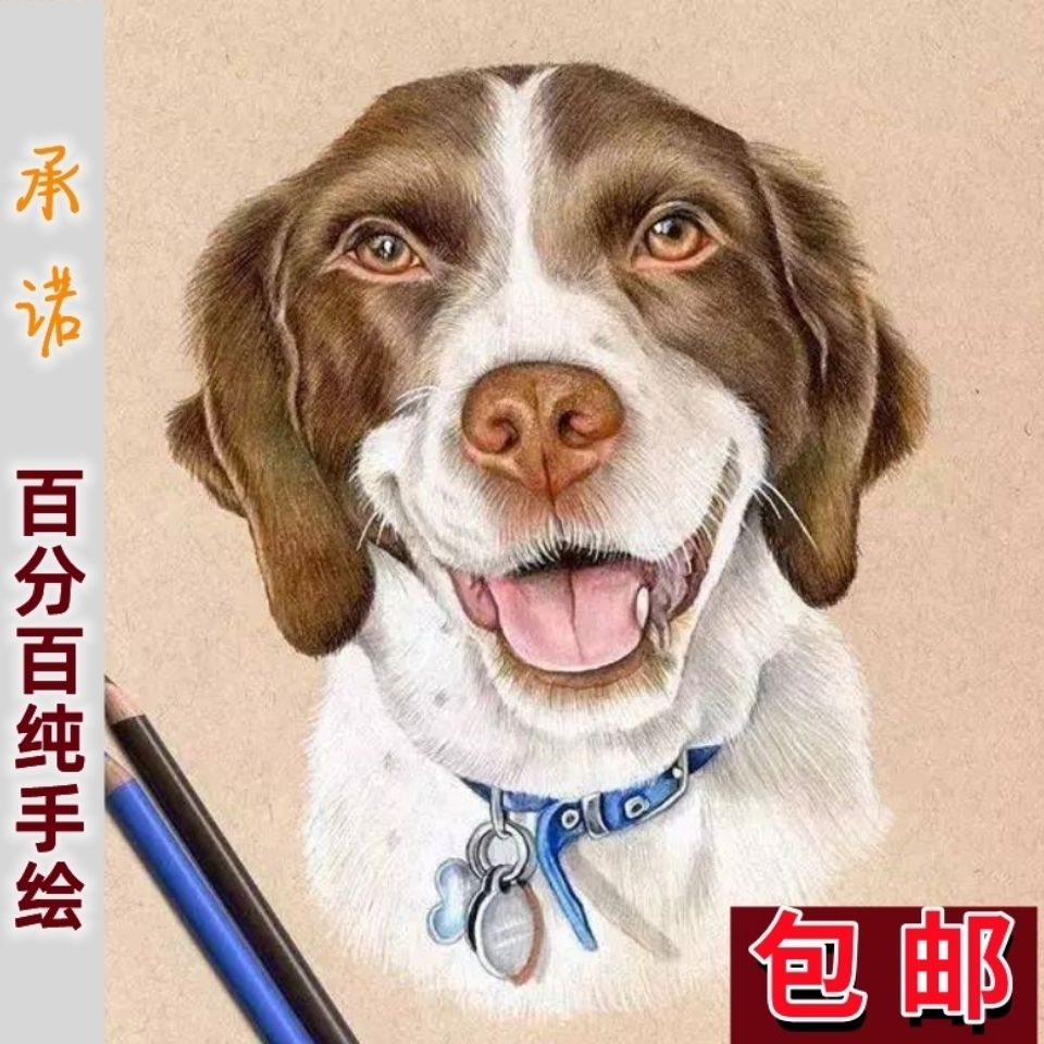 宠物画像新品原创设计猫狗肖像定制家居彩色彩铅素描装饰画