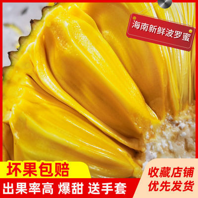 海南三亚菠萝蜜一整个批发价黄肉干苞非红心 当季新鲜热带水果