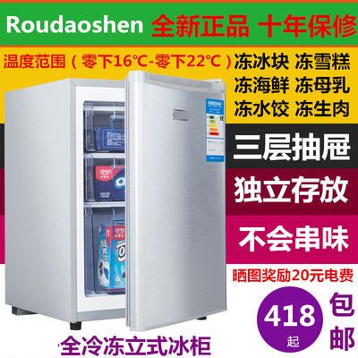 70 1升全冷冻冰箱单门小型冷冻柜立式母乳茶叶冷冻箱家用小冰箱 虎窝拼