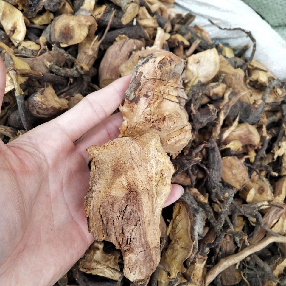 500克包邮 中药材睇牛仔根 苦李根山黑黎罗根掌牛仔