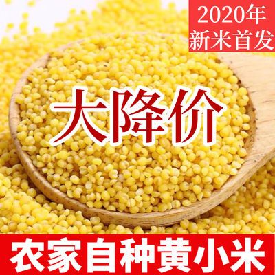 35904/浑州皇山西农家小米养胃黄小米饭月子米五谷杂粮宝宝小黄米有米油