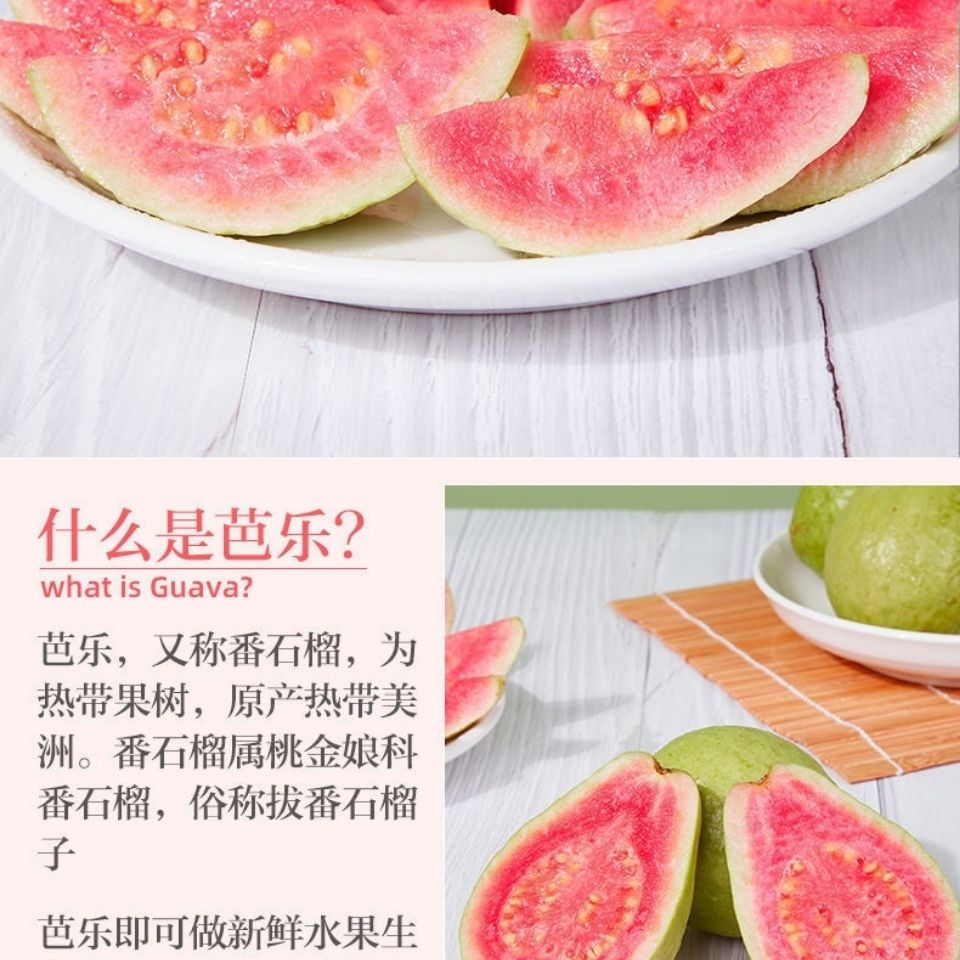 75724-番石榴广西新鲜当季水果红心芭乐果番石榴水果软糯香甜整箱包邮-详情图