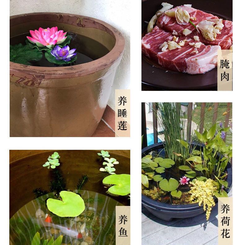 睡莲荷花缸养鱼老式土陶水缸陶瓷大号家用米缸储水缸腌菜发酵酱缸 虎窝拼