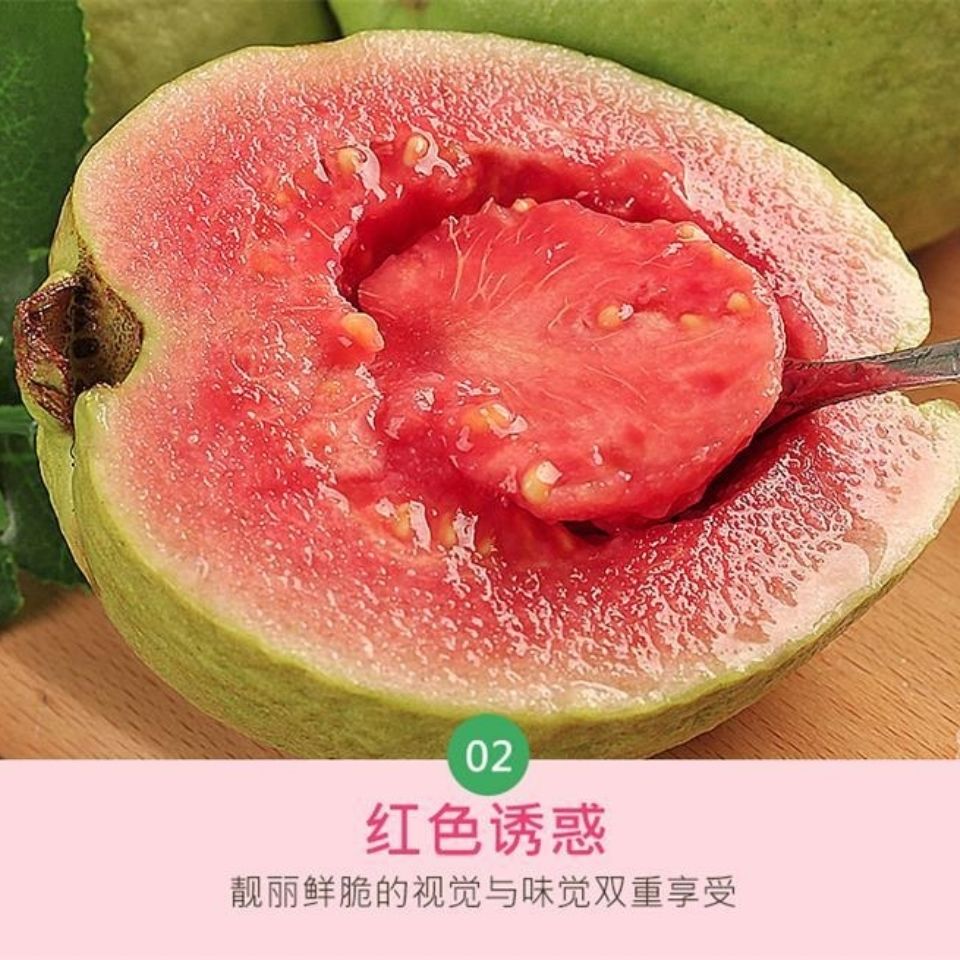 75724-番石榴广西新鲜当季水果红心芭乐果番石榴水果软糯香甜整箱包邮-详情图
