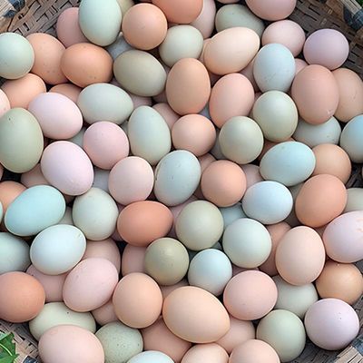40枚正宗农家散养土鸡蛋新鲜绿壳乌鸡蛋混合装30枚整箱批发价特卖