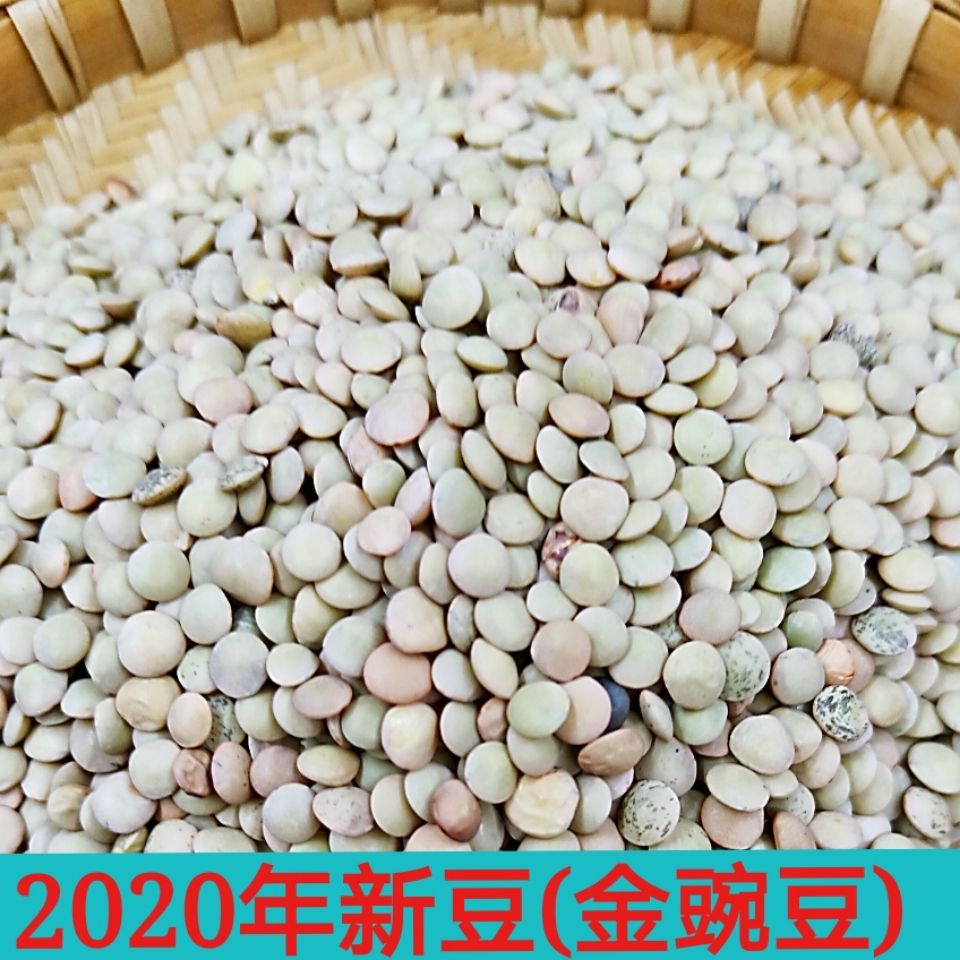 云南昭通金豌豆小豌豆滨豆小扁豆鸡眼豆五谷杂粮一份5斤