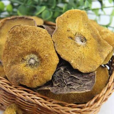 沂蒙山特产野生松菇纯天然山蘑菇粘蛾子干货松口蘑煲汤食材包邮