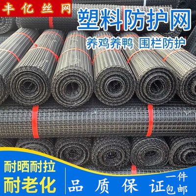 74584/土工格栅塑料网格防护网小孔养鸡鸭围栏护栏网隔离养殖网圈玉米网