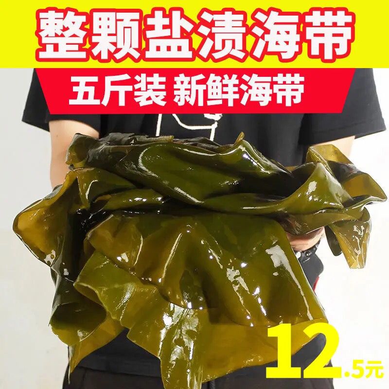 霞浦盐渍海带整棵新鲜海带非干货海带裙带菜海带头海带丝带边批发