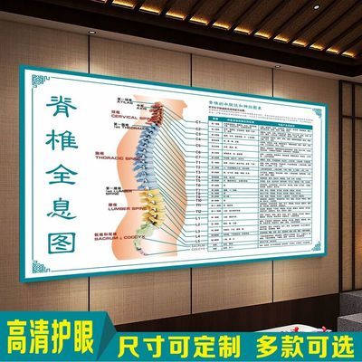 脊椎全息图脊柱疾病健康疗法图脊椎健康速查表脊柱相关疾病示意图