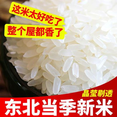 东北大米10斤20斤 新米长粒香五优稻4号鸭稻米寒地香米农家批发