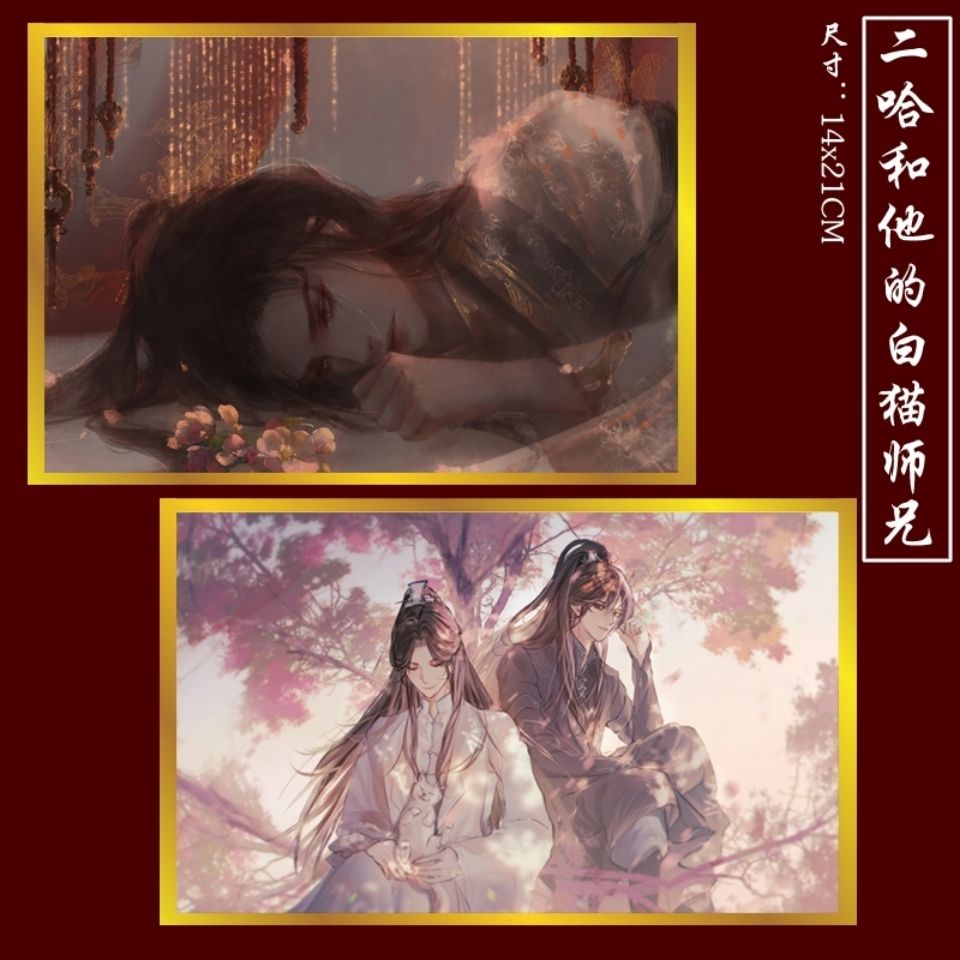 中国小説——二哈和他的白猫师尊全套特典版1 二哈和他的白猫师尊txt下载- 拼多多