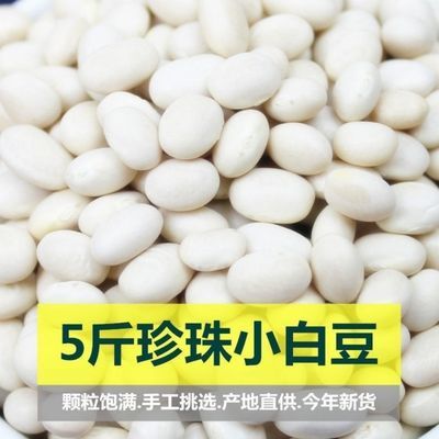 今年新货云南特产珍珠小白豆云南农家自种小白芸豆白豆炖菜煲汤