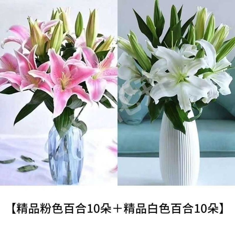 百合花扶郎花非洲菊拉丝鲜花真花水养瓶插花节日送礼浙江基地发货【5