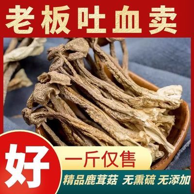 31874/同源食品鹿茸菇特级干货古田特产鹿茸菇香菇干货无硫特产食用菌