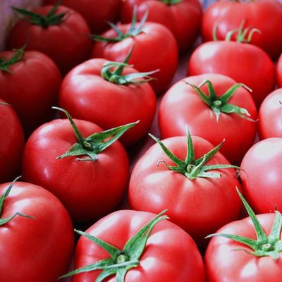 普罗旺斯露天水果大西红柿沙瓤带箱新鲜蔬菜农家番茄纯天然自然熟