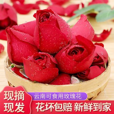 云南可食用玫瑰花新鲜墨红玫瑰花鲜花可做酱醋酵素鲜花饼基地直发