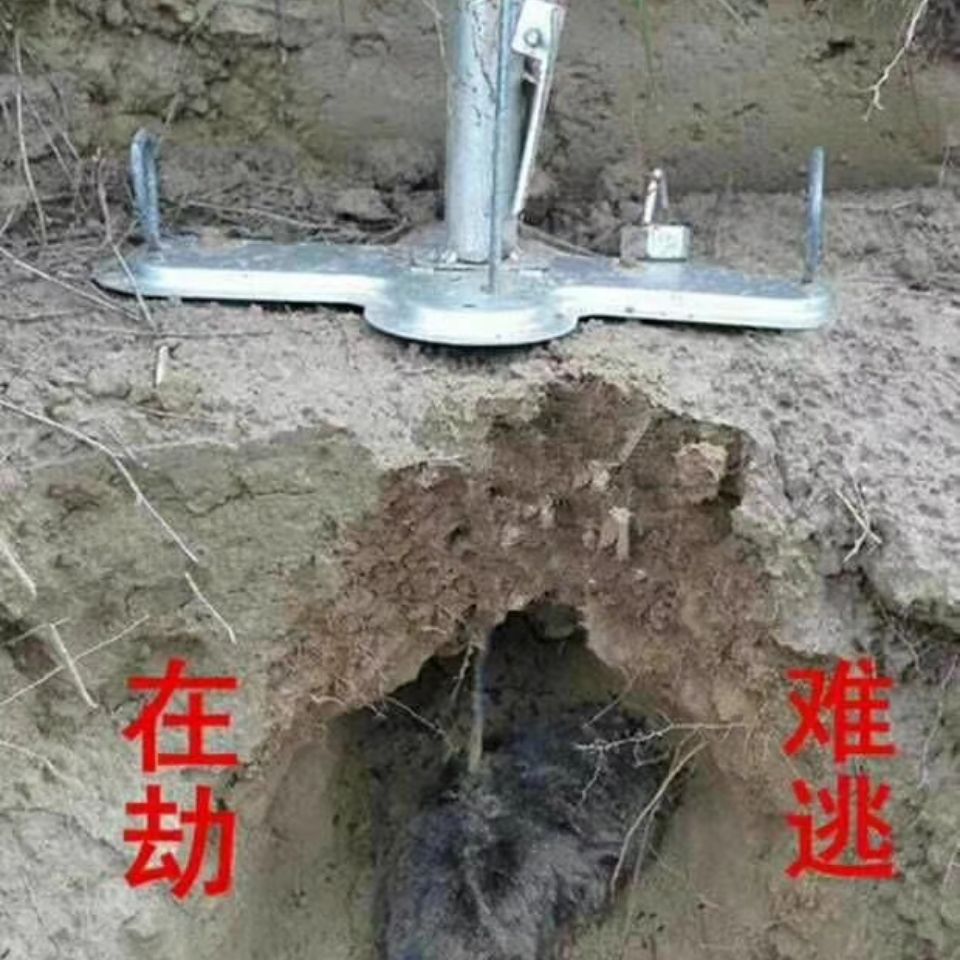 四箭式鼢鼠捕鼠器哈哈鼢鼠瞎老鼠地羊哈毁竹鼠地鼠田鼠地弓捕鼠器