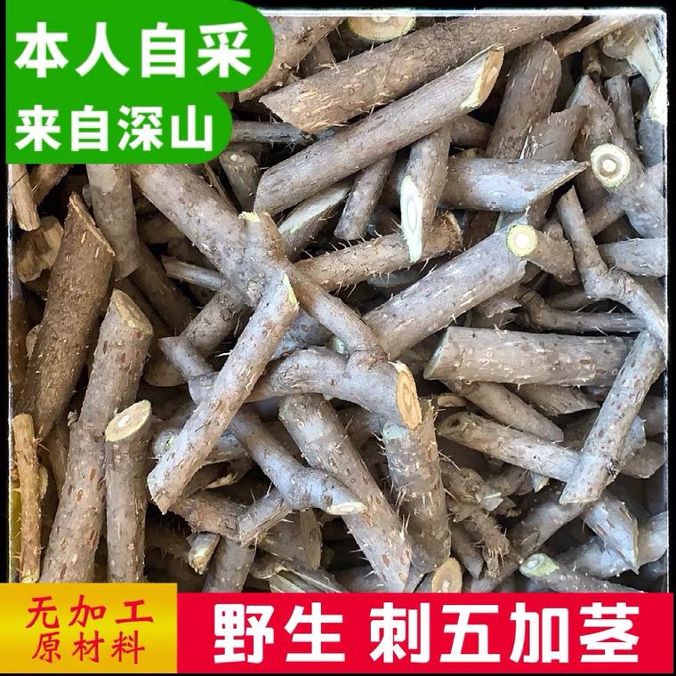 东北黑龙江野生刺五加杆刺五加根茎500克包邮拍四斤免费赠送一斤