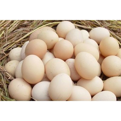 131559/土鸡蛋农家山地散养土鸡蛋900g左右/20枚装禽凤源新鲜蛋类