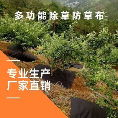 裁片新型生态防草布除草布果园果树保肥保湿渗水无纺地布农用薄膜