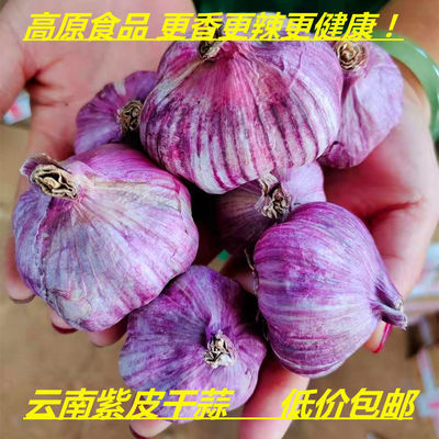 76331/【2021干紫皮大蒜】云南蒜紫皮大蒜香蒜红皮大蒜批发紫皮蒜1/10斤