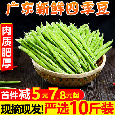 10021/新鲜四季豆10斤批发农家当季现摘芸豆无筋豆扁青豆角蔬菜1斤整箱