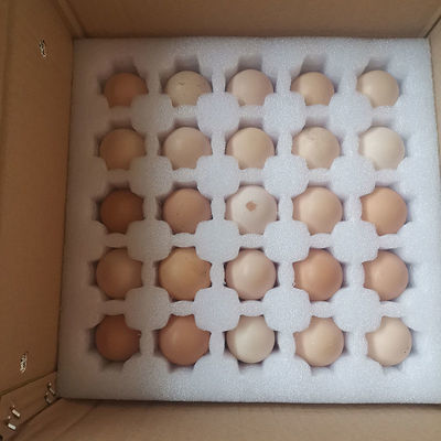 50枚鸡蛋 树林放养 土鸡蛋 新鲜 笨鸡蛋(现捡现发 破损包赔)