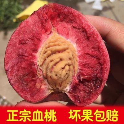 39932/血桃红肉水蜜桃朱砂红桃新鲜水果包邮甜脆桃放软香甜多汁桃子整箱